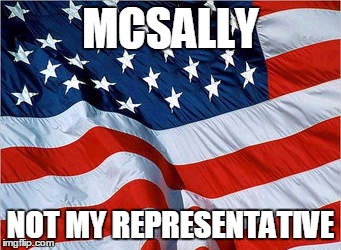USA Flag | MCSALLY; NOT MY REPRESENTATIVE | image tagged in usa flag | made w/ Imgflip meme maker
