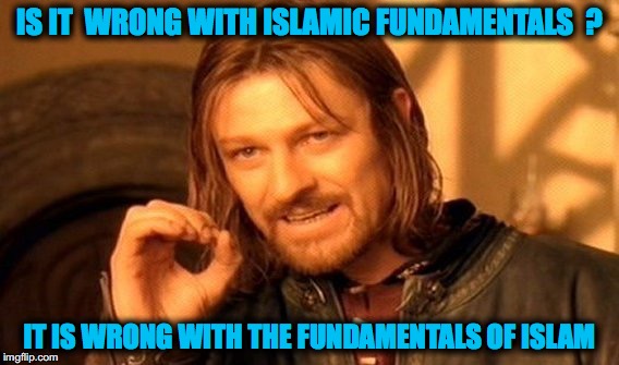 One Does Not Simply | IS IT  WRONG WITH ISLAMIC FUNDAMENTALS  ? IT IS WRONG WITH THE FUNDAMENTALS OF ISLAM | image tagged in memes,one does not simply | made w/ Imgflip meme maker