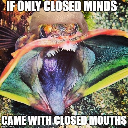 IF ONLY CLOSED MINDS; CAME WITH CLOSED MOUTHS | image tagged in donald trump,donald trumph hair,trump,trump 2016,president trump | made w/ Imgflip meme maker
