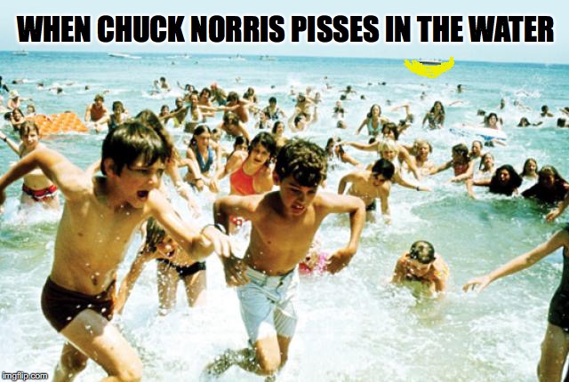 Chuck Norris Hunting Jaws | WHEN CHUCK NORRIS PISSES IN THE WATER | image tagged in chuck norris week,jaws | made w/ Imgflip meme maker