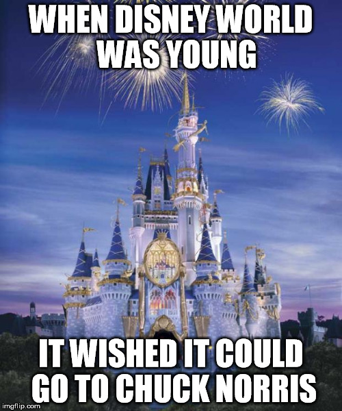 And it still does | WHEN DISNEY WORLD  WAS YOUNG; IT WISHED IT COULD GO TO CHUCK NORRIS | image tagged in disney,chuck norris | made w/ Imgflip meme maker