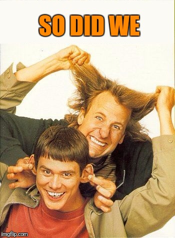 DUMB and dumber | SO DID WE | image tagged in dumb and dumber | made w/ Imgflip meme maker