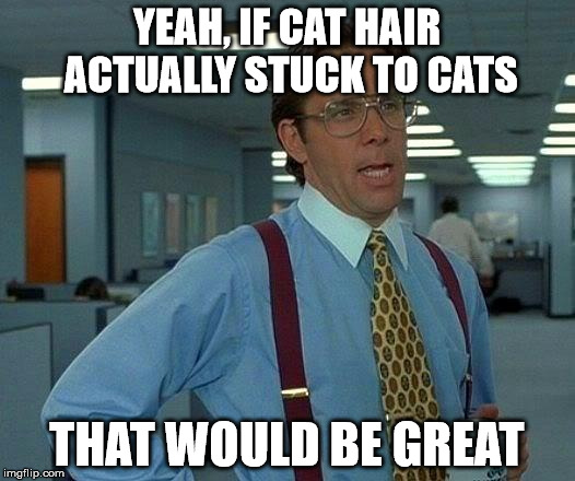 That Would Be Great | YEAH, IF CAT HAIR ACTUALLY STUCK TO CATS; THAT WOULD BE GREAT | image tagged in memes,that would be great | made w/ Imgflip meme maker