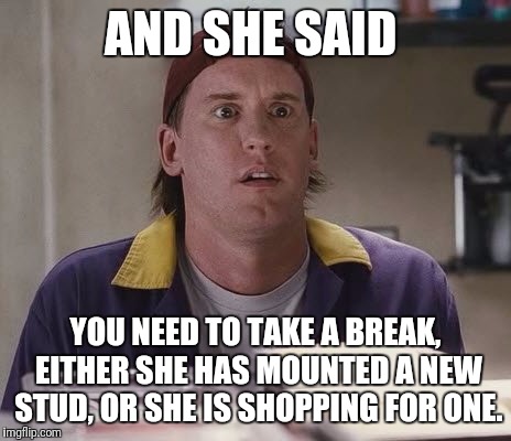 RANDAL | AND SHE SAID; YOU NEED TO TAKE A BREAK, EITHER SHE HAS MOUNTED A NEW STUD, OR SHE IS SHOPPING FOR ONE. | image tagged in randal,memes,break up,funny cat memes,cheaters | made w/ Imgflip meme maker