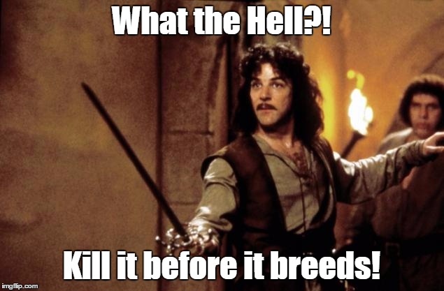 Princess bride | What the Hell?! Kill it before it breeds! | image tagged in princess bride | made w/ Imgflip meme maker