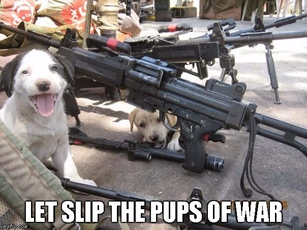 Cry havoc and... | LET SLIP THE PUPS OF WAR | image tagged in cry 'havoc' and let slip the dogs of war,dogs of war | made w/ Imgflip meme maker