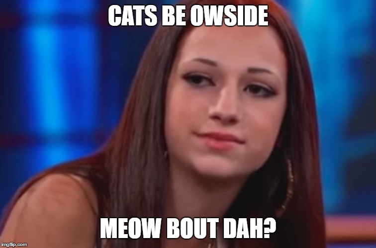 CATS BE OWSIDE MEOW BOUT DAH? | made w/ Imgflip meme maker