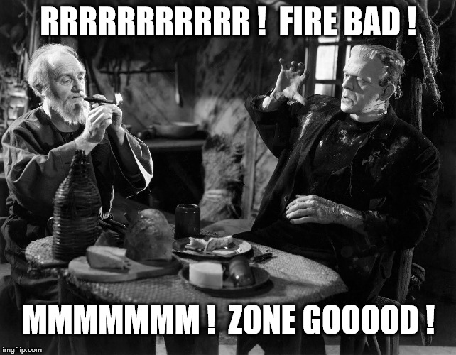 Zone good! | RRRRRRRRRRR !  FIRE BAD ! MMMMMMM !  ZONE GOOOOD ! | image tagged in frankenstein,twilight zone | made w/ Imgflip meme maker
