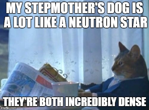 Watching Kurzgesagt | MY STEPMOTHER'S DOG IS A LOT LIKE A NEUTRON STAR; THEY'RE BOTH INCREDIBLY DENSE | image tagged in memes,i should buy a boat cat | made w/ Imgflip meme maker