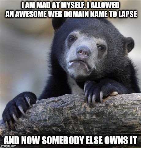 Confession Bear | I AM MAD AT MYSELF. I ALLOWED AN AWESOME WEB DOMAIN NAME TO LAPSE; AND NOW SOMEBODY ELSE OWNS IT | image tagged in memes,confession bear | made w/ Imgflip meme maker