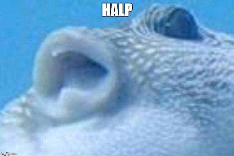Pooferfeesh | HALP | image tagged in puffer fish | made w/ Imgflip meme maker