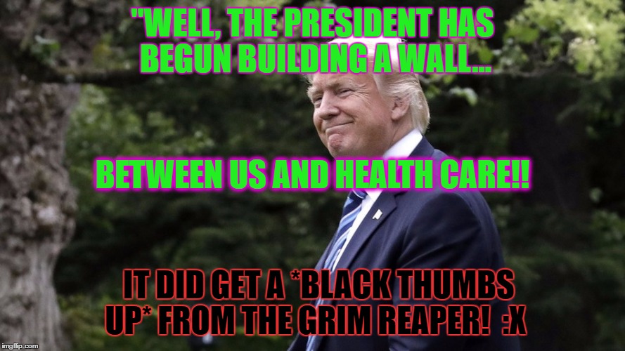 "WELL, THE PRESIDENT HAS BEGUN BUILDING A WALL... BETWEEN US AND HEALTH CARE!! IT DID GET A *BLACK THUMBS UP* FROM THE GRIM REAPER!  :X | image tagged in well,the president has begun building a wall | made w/ Imgflip meme maker
