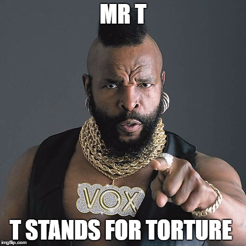 Mr T Pity The Fool Meme | MR T; T STANDS FOR TORTURE | image tagged in memes,mr t pity the fool | made w/ Imgflip meme maker