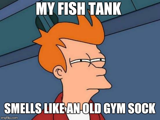 Futurama Fry Meme | MY FISH TANK SMELLS LIKE AN OLD GYM SOCK | image tagged in memes,futurama fry | made w/ Imgflip meme maker