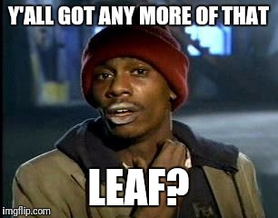 Y'all Got Any More Of That Meme | Y'ALL GOT ANY MORE OF THAT LEAF? | image tagged in memes,yall got any more of | made w/ Imgflip meme maker