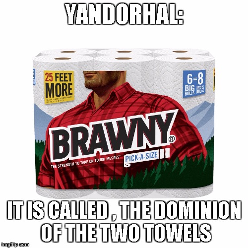 Brawny Paper Towels | YANDORHAL:; IT IS CALLED , THE DOMINION OF THE TWO TOWELS | image tagged in brawny paper towels | made w/ Imgflip meme maker