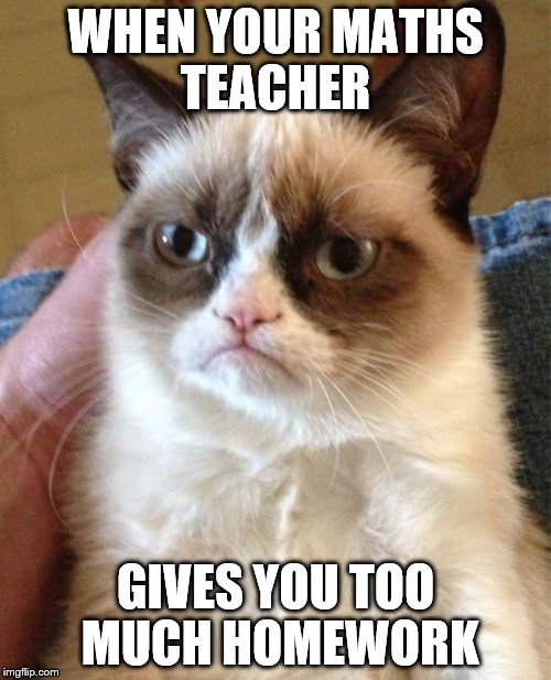 Grumpy Cat Meme | WHEN YOUR MATHS TEACHER; GIVES YOU TOO MUCH HOMEWORK | image tagged in memes,grumpy cat | made w/ Imgflip meme maker