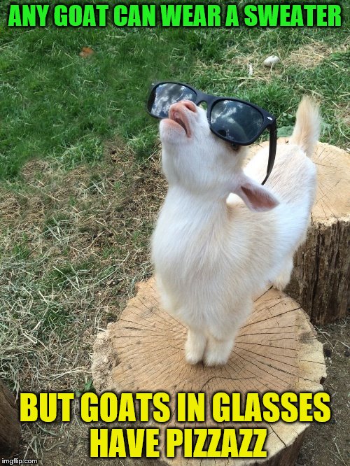 goatsky | ANY GOAT CAN WEAR A SWEATER; BUT GOATS IN GLASSES HAVE PIZZAZZ | image tagged in goatsky | made w/ Imgflip meme maker