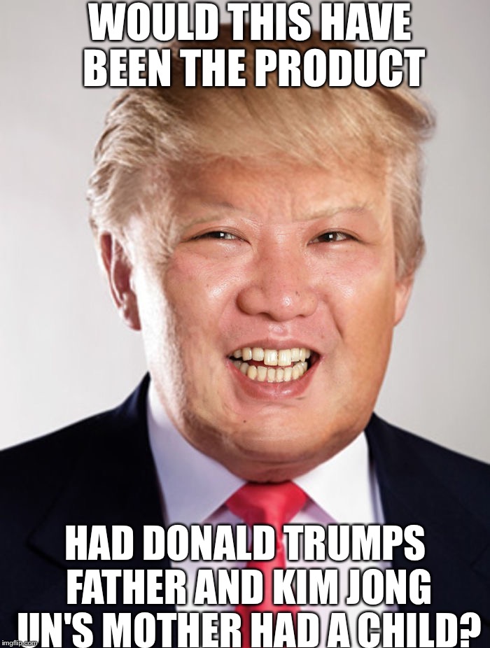 Possible possibilitys | WOULD THIS HAVE BEEN THE PRODUCT; HAD DONALD TRUMPS FATHER AND KIM JONG UN'S MOTHER HAD A CHILD? | image tagged in memes,donald trump,kim jong un,funny | made w/ Imgflip meme maker