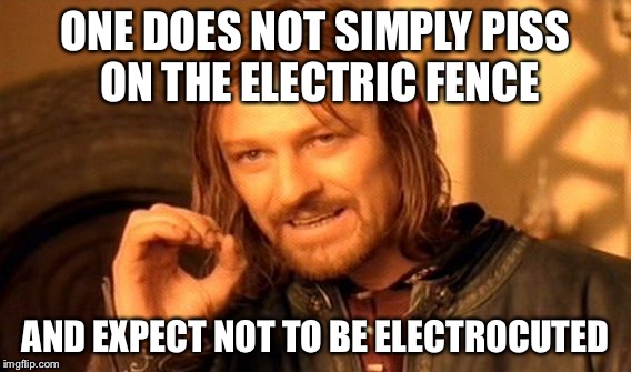 One Does Not Simply | ONE DOES NOT SIMPLY PISS ON THE ELECTRIC FENCE; AND EXPECT NOT TO BE ELECTROCUTED | image tagged in memes,one does not simply | made w/ Imgflip meme maker