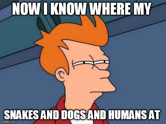 Futurama Fry Meme | NOW I KNOW WHERE MY SNAKES AND DOGS AND HUMANS AT | image tagged in memes,futurama fry | made w/ Imgflip meme maker