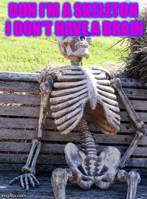 DUH I'M A SKELETON I DON'T HAVE A BRAIN | image tagged in memes,waiting skeleton | made w/ Imgflip meme maker