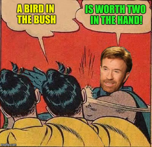 Next up, Chuck Norris meets A Flock Of Seagulls.  Chuck Norris Week!  A Sir_Unknown event! | IS WORTH TWO IN THE HAND! A BIRD IN THE BUSH | image tagged in chuck norris,batman slapping robin | made w/ Imgflip meme maker