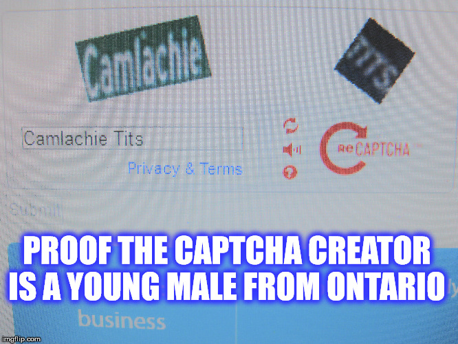 Well played Google  | PROOF THE CAPTCHA CREATOR IS A YOUNG MALE FROM ONTARIO | image tagged in internet,google images | made w/ Imgflip meme maker