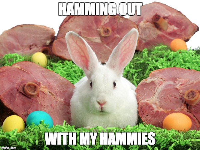 HAMMING OUT; WITH MY HAMMIES | made w/ Imgflip meme maker