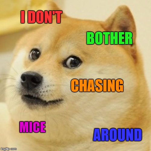 Doge Meme | I DON'T BOTHER CHASING MICE AROUND | image tagged in memes,doge | made w/ Imgflip meme maker