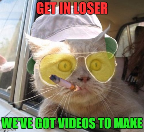 Everyone loves a good cat video. Show me what you got! | GET IN LOSER; WE'VE GOT VIDEOS TO MAKE | image tagged in memes,fear and loathing cat,mean girls | made w/ Imgflip meme maker