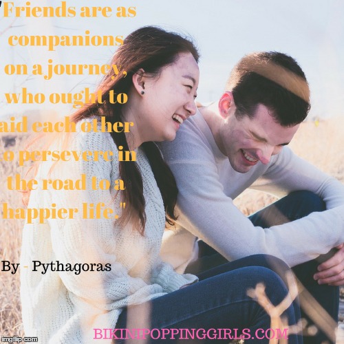 What is friendship? | image tagged in friends,inspirational quote,quotes | made w/ Imgflip meme maker