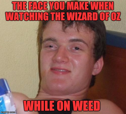 The Wizard Of 10 Guy | THE FACE YOU MAKE WHEN WATCHING THE WIZARD OF OZ; WHILE ON WEED | image tagged in memes,10 guy | made w/ Imgflip meme maker