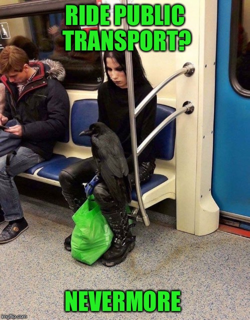 Nevermore | RIDE PUBLIC TRANSPORT? NEVERMORE | image tagged in memes,nevermore | made w/ Imgflip meme maker