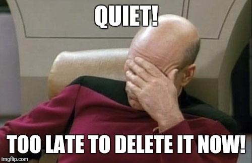 Captain Picard Facepalm Meme | QUIET! TOO LATE TO DELETE IT NOW! | image tagged in memes,captain picard facepalm | made w/ Imgflip meme maker