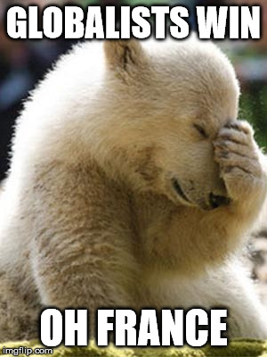 Facepalm Bear | GLOBALISTS WIN; OH FRANCE | image tagged in memes,facepalm bear | made w/ Imgflip meme maker