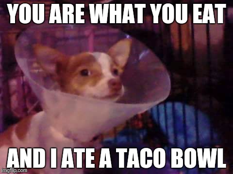 YOU ARE WHAT YOU EAT; AND I ATE A TACO BOWL | image tagged in taco bowl | made w/ Imgflip meme maker