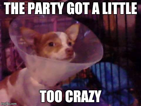 THE PARTY GOT A LITTLE; TOO CRAZY | image tagged in party | made w/ Imgflip meme maker