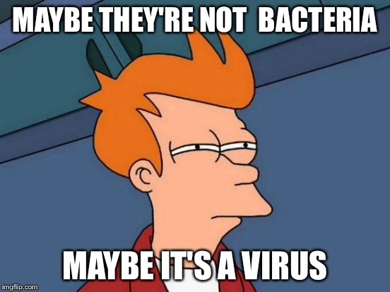 Futurama Fry Meme | MAYBE THEY'RE NOT  BACTERIA MAYBE IT'S A VIRUS | image tagged in memes,futurama fry | made w/ Imgflip meme maker