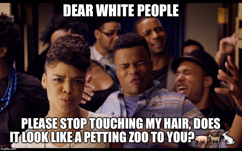 DEAR WHITE PEOPLE; PLEASE STOP TOUCHING MY HAIR, DOES IT LOOK LIKE A PETTING ZOO TO YOU?🐖🐐🐇 | image tagged in dearwhitepeople | made w/ Imgflip meme maker