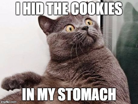 Sneaky Cookie Cat - Imgflip