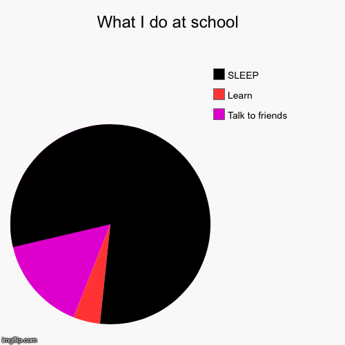image tagged in funny,pie charts | made w/ Imgflip chart maker