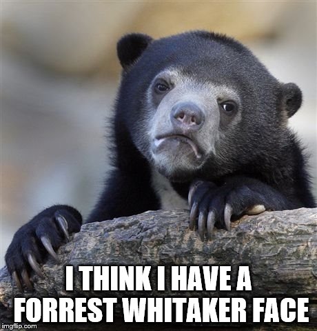 Confession Bear Meme | I THINK I HAVE A FORREST WHITAKER FACE | image tagged in memes,confession bear | made w/ Imgflip meme maker