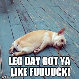 frenchie | LEG DAY GOT YA LIKE FUUUUCK! | image tagged in frenchie | made w/ Imgflip meme maker