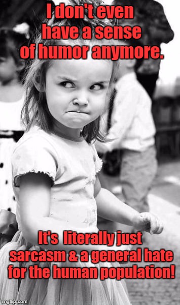 Angry Toddler Meme | I don't even have a sense of humor anymore. It's  literally just sarcasm & a general hate for the human population! | image tagged in memes,angry toddler | made w/ Imgflip meme maker