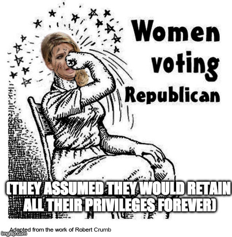 The hypocritical feminist  | (THEY ASSUMED THEY WOULD RETAIN ALL THEIR PRIVILEGES FOREVER) | image tagged in women voting republican,r crumb,white privilege,white women,women rights,hypocritical feminist | made w/ Imgflip meme maker
