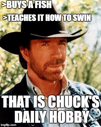 Chuck's Daily hobby | >BUYS A FISH; >TEACHES IT HOW TO SWIN; THAT IS CHUCK'S DAILY HOBBY | image tagged in memes,chuck norris | made w/ Imgflip meme maker