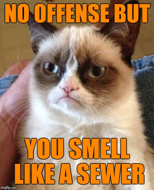 Grumpy Cat Meme | NO OFFENSE BUT YOU SMELL LIKE A SEWER | image tagged in memes,grumpy cat | made w/ Imgflip meme maker