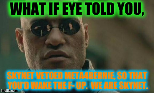 Matrix Morpheus Meme | WHAT IF EYE TOLD YOU, SKYNET VETOED META4BERNIE, SO THAT YOU'D WAKE THE F- UP.  WE ARE SKYNET. | image tagged in memes,matrix morpheus | made w/ Imgflip meme maker