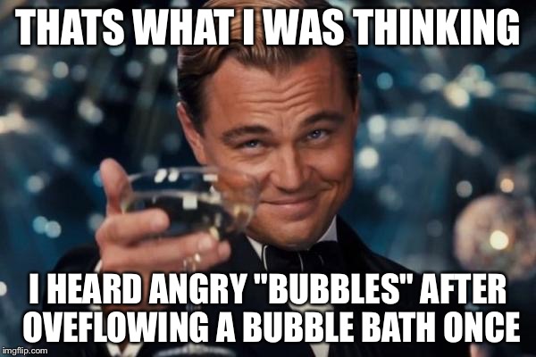 Leonardo Dicaprio Cheers Meme | THATS WHAT I WAS THINKING I HEARD ANGRY "BUBBLES" AFTER OVEFLOWING A BUBBLE BATH ONCE | image tagged in memes,leonardo dicaprio cheers | made w/ Imgflip meme maker